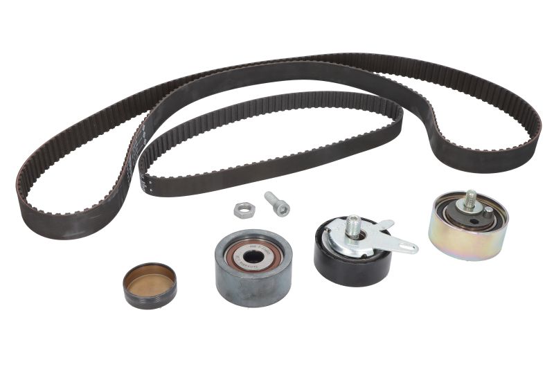 Kit distributie Ina 530041610