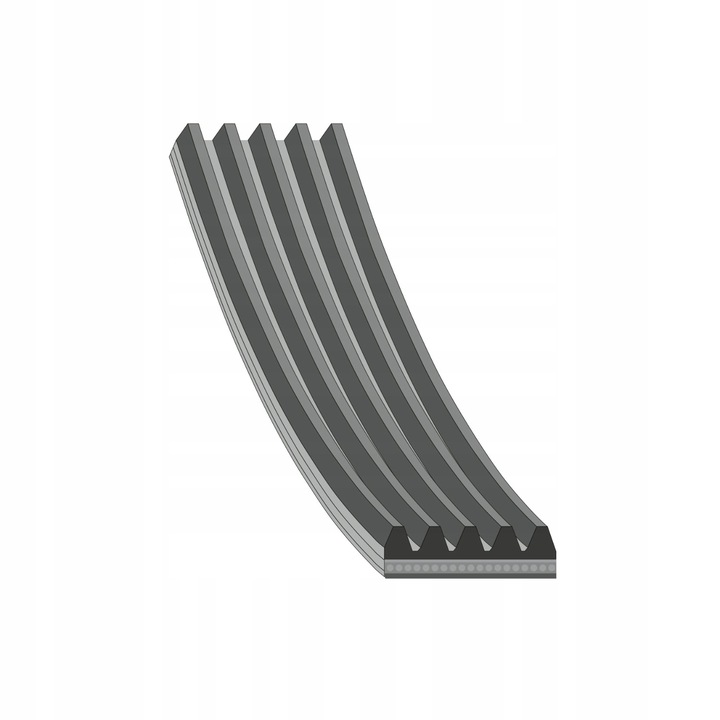 Curea transmisie cu caneluri Contitech 5PK1646