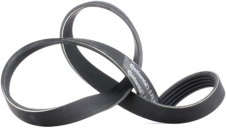 Curea transmisie cu caneluri Contitech 5PK884