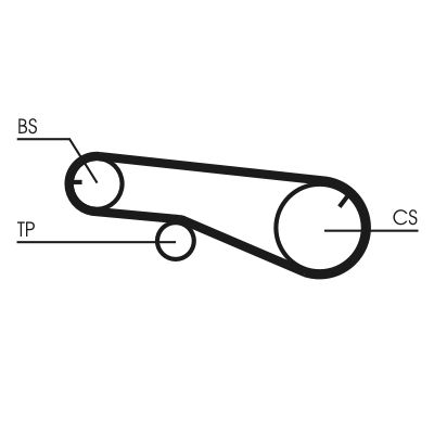 CONTINENTAL CTAM Curea de distributie
