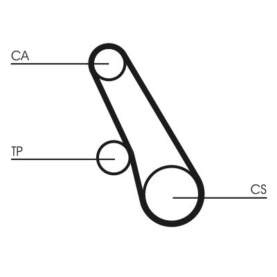 CONTINENTAL CTAM Curea de distributie