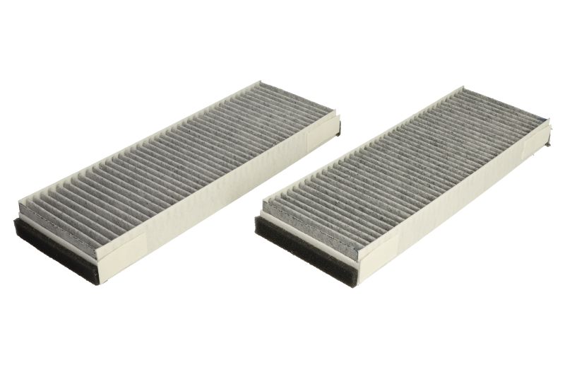 VALEO Filtru, aer habitaclu VALEO PROTECT