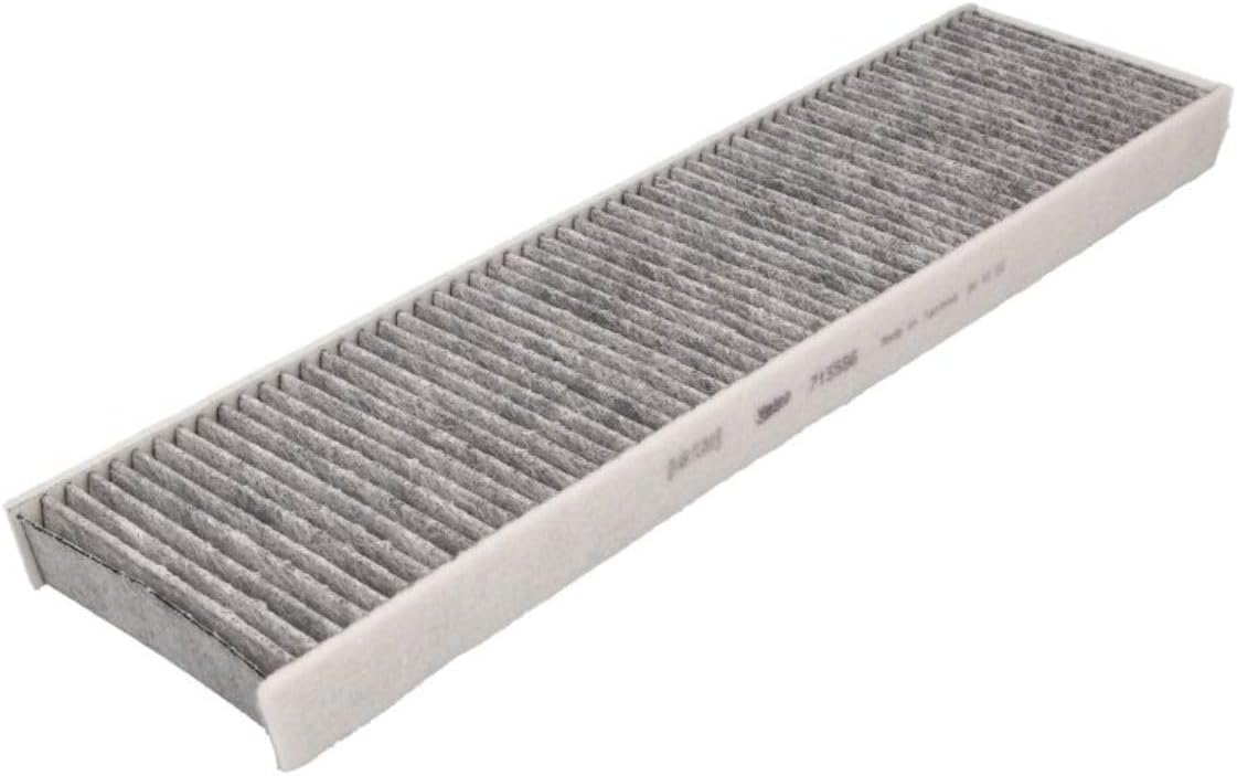 VALEO Filtru, aer habitaclu VALEO PROTECT