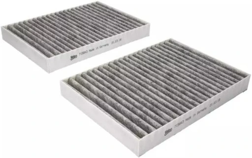 VALEO Filtru, aer habitaclu VALEO PROTECT