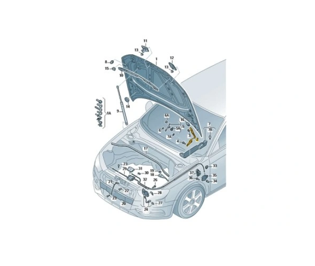 Balama capota fata AUDI A3 (8V), 06.2012-12.2020, partea dreapta,
