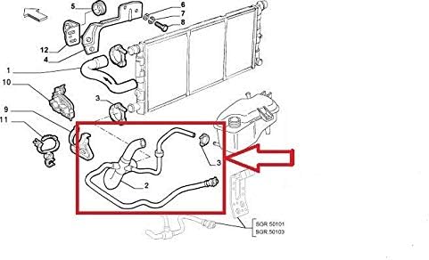 Furtun radiator Fiat Seicento/600 98-10, motor: 1.1, Cauciuc, 46743818
