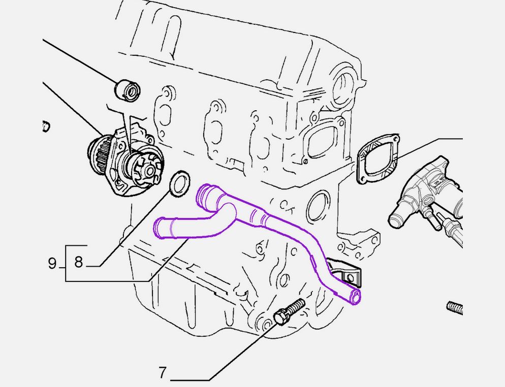 Furtun radiator Fiat 500 07-, Panda 03-12, Panda 12-; Ford Ka 08-; Lancia Ypsilon 11-, motor: 1.2, 1.4, 1.4 T-Jet, Metal, 1818393; 46803377