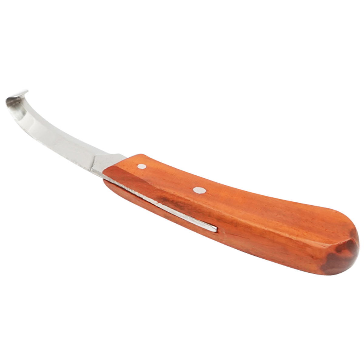 Reneta profesionala cu LAMA DUBLA pentru curatarea ongloanelor si copitelor Breckner Germany