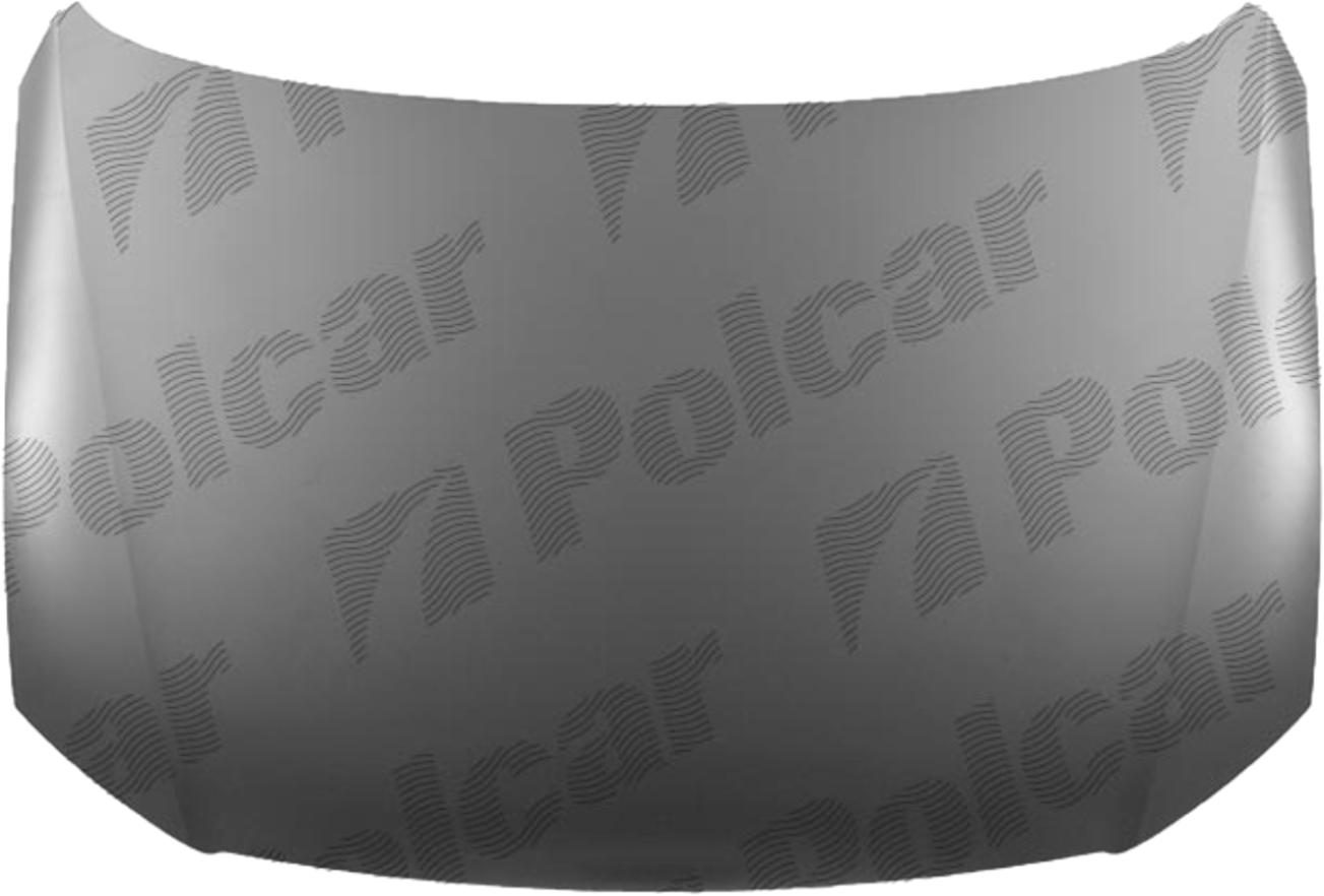 Capota fata VW PASSAT (B6 (3C)), 01.2005-07.2010, vopsire prin imersie; mastic,