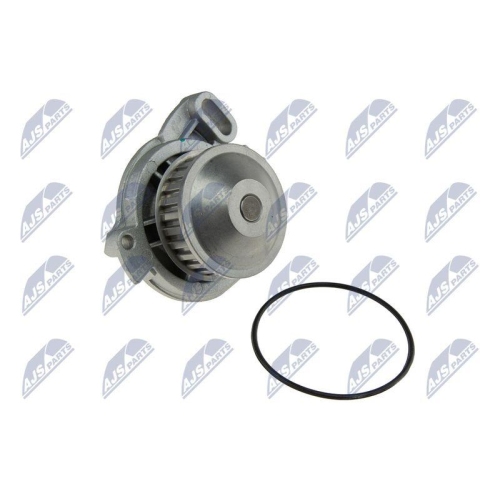 Pompa apa Vw Golf 3, 4 2.8 1992-, Passat 2.8, 2.9vr6 1991-1997, Sharan 2.8 1995-2000, 1001889
