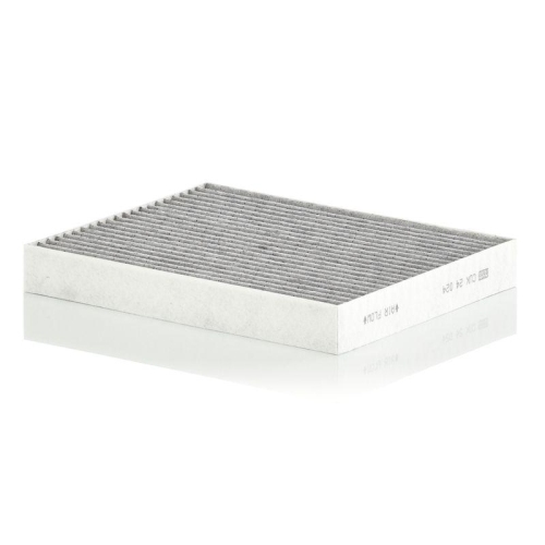 MANN-FILTER Filtru, aer habitaclu