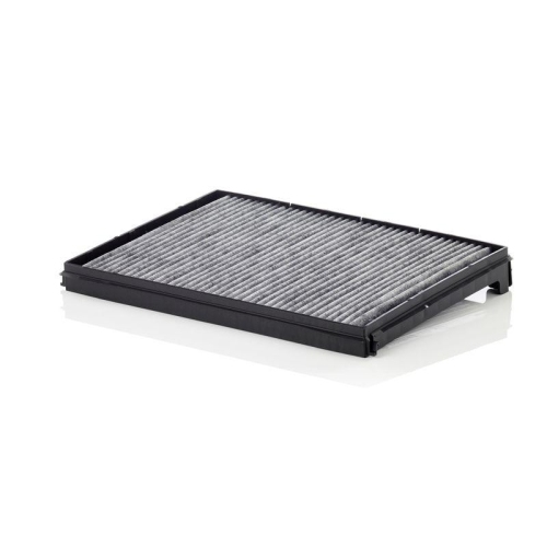 MANN-FILTER Filtru, aer habitaclu