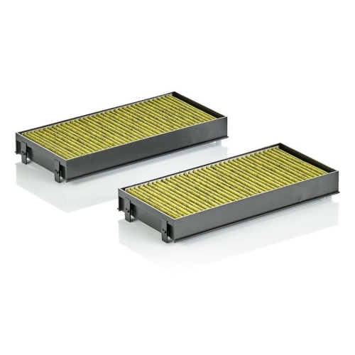 MANN-FILTER Filtru, aer habitaclu FreciousPlus