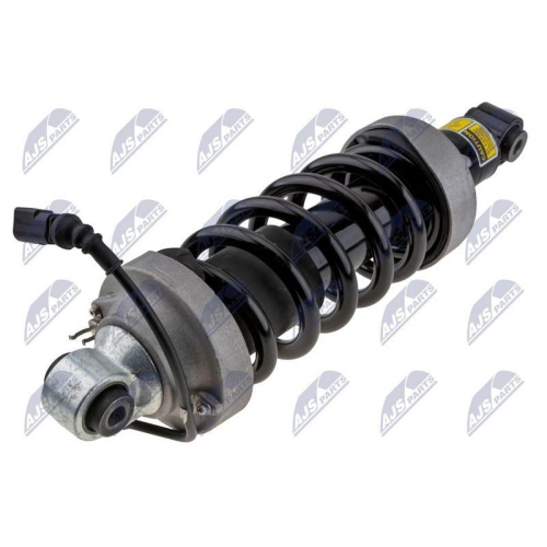 Amortizor spate Audi R8 2007-2015, R8 Spyder 2010-2015, Dreapta, +Amr, 420512020AM