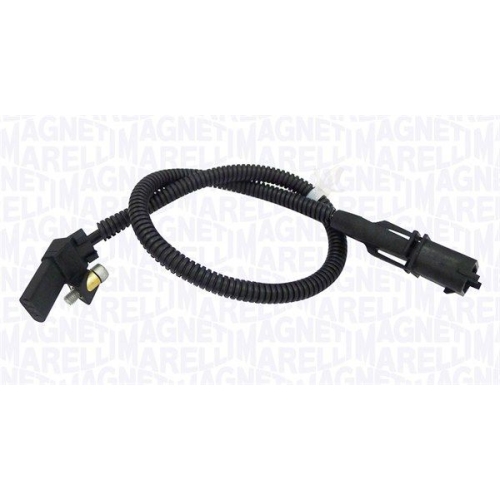 MAGNETI MARELLI Senzor impulsuri, arbore cotit