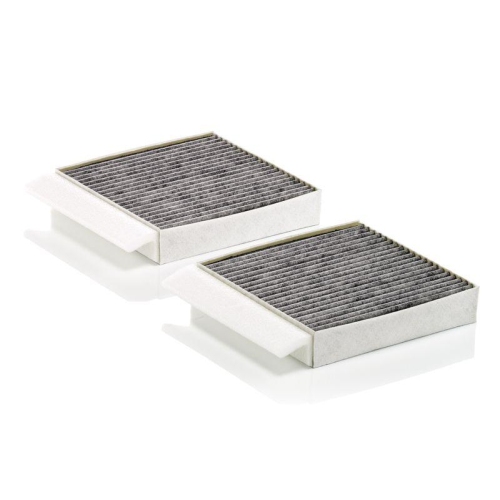 MANN-FILTER Filtru, aer habitaclu