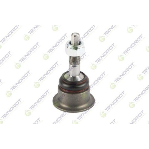Pivot brat suspensie BMW 7 (E38) 03.94-11.01, Z8 Roadster (E52) 01.00-12.03, Spate, Stanga=Dreapta, TEKNOROT