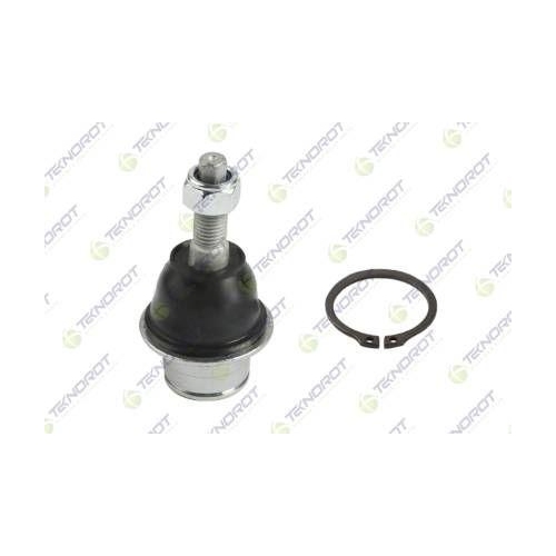 Pivot brat suspensie Ford Expedition 09.06-, F-150 Crew Cab Pickup 09.08-, F-150 Standard Cab Pickup 09.08-, F-150 10.07-; Lincoln Mark Lt 09.05-, Navigator (U326) 09.06-11.17, Fata, Stanga=Dreapta, TEKNOROT
