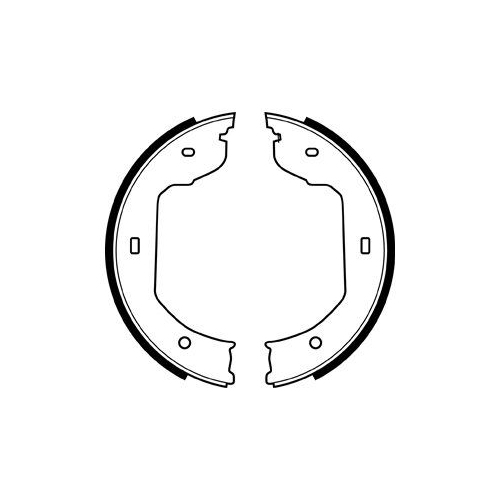 Set saboti frana mana Delphi LS1920, parte montare : Punte Spate