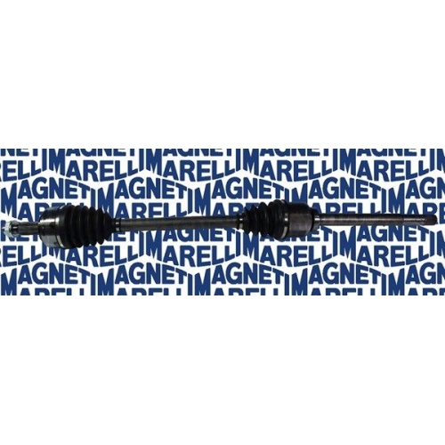 Planetara MAGNETI MARELLI 302004190062