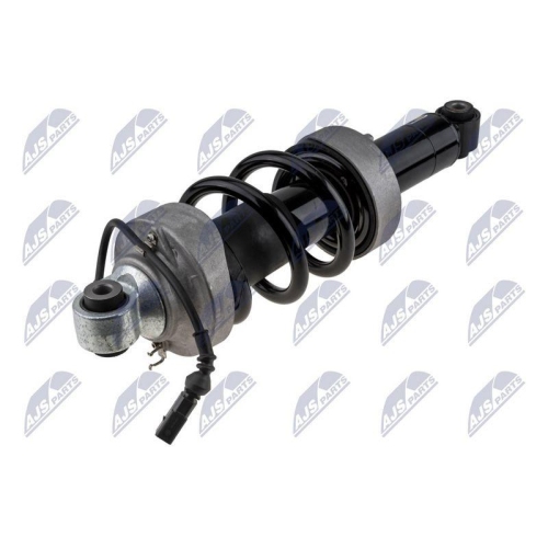 Amortizor fata Audi R8 2007-2015, R8 Spyder 2010-2015, Stanga, +Amr, 420412019AJ