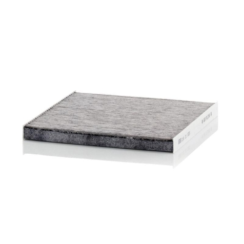 MANN-FILTER Filtru, aer habitaclu