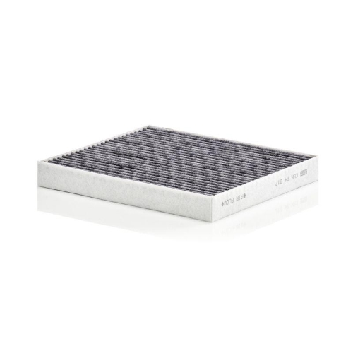 MANN-FILTER Filtru, aer habitaclu