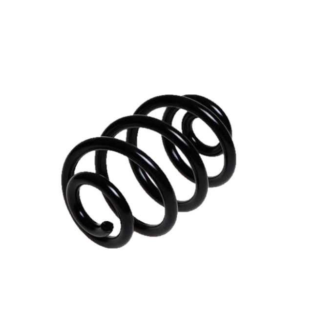 Arc spiral Bmw Seria 3 (E46), Lesj&ouml;fors 4208432, parte montare : Punte spate