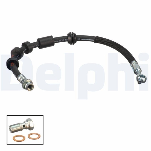 DELPHI Furtun frana