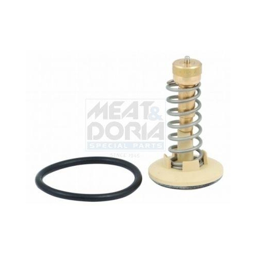 MEAT &amp; DORIA termostat,lichid racire