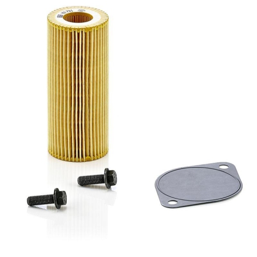 MANN-FILTER Filtru hidraulic, cutie de viteze automata