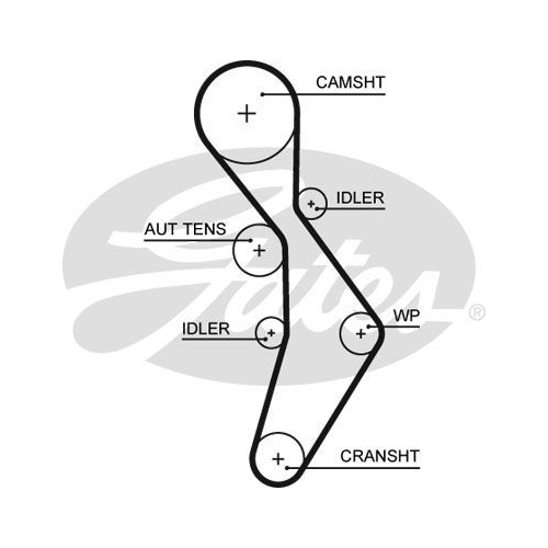 Curea distributie Gates 5604XS