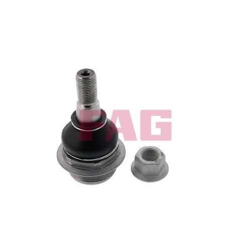FAG Articulatie sarcina/ghidare