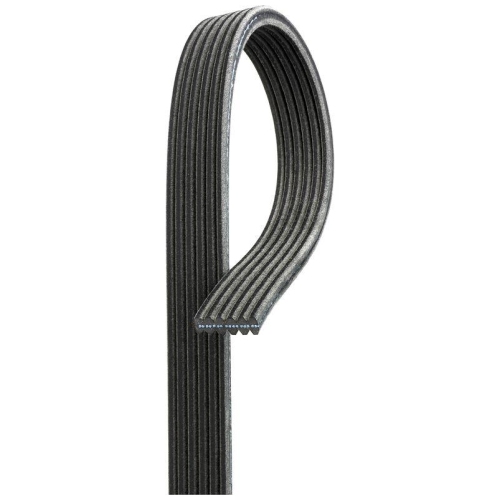 Curea transmisie Volvo, 6 nervuri, GATES