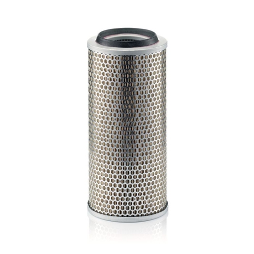 Filtru aer Mann-Filter C172253