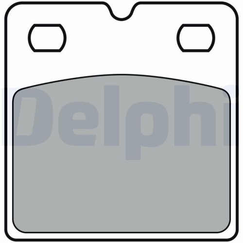 Placute frana Tesla Model S (5yjs) 09.12-, Model X (5yjx) 09.13-, Spate, DELPHI