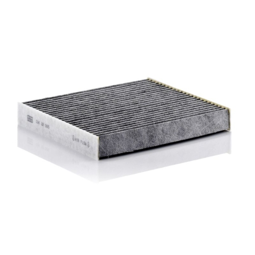 MANN-FILTER Filtru, aer habitaclu