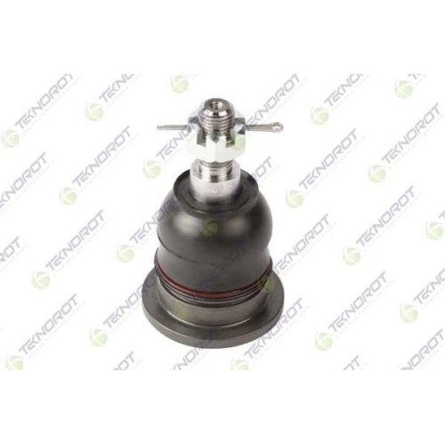 Pivot brat suspensie Acura Tl (Ua8; Honda Accord 8 (Cu), Accord 8 Estate (Cw), 3.5, 3.7 AWD, 2.0 1 (CU1), 2.2 i-DTEC (CU3), 2.4 1 (CU2), 2.0 1 (CW1), 2.2 i-DTEC (CW3), 2.4 1 (CW2), Punte Spate, Stanga=Dreapta, superior; TEKNOROT