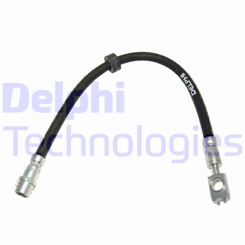 DELPHI Furtun frana