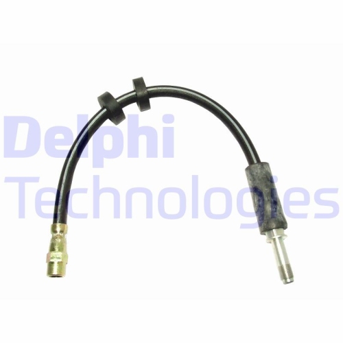 DELPHI Furtun frana