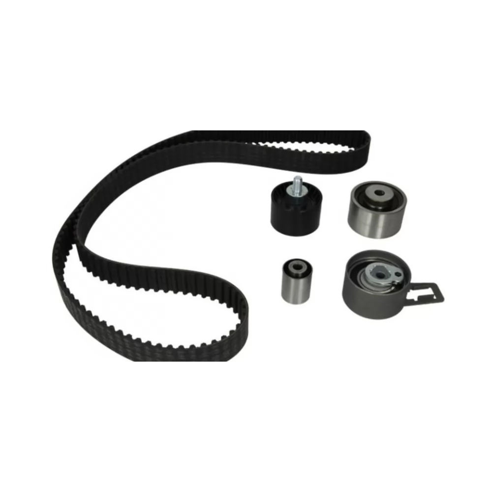 Kit distributie Ina 530050910