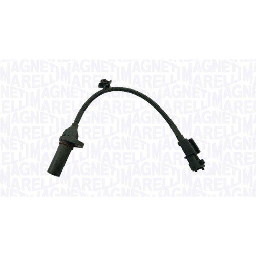 MAGNETI MARELLI Senzor impulsuri, arbore cotit