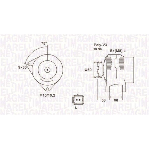 Alternator Renault Clio 2 (Bb , Clio 2 Box / Liftback (Sb0/1/2), Clio 3 (Br0/1, Espace 3 (Je0), Kangoo (Kc0/1), Kangoo Express (Fc0/1), Thalia I (Lb), Thalia 2 (Lu), Twingo I (C06), 1.2, 1.2 16V, 1.2 LPG, 2.0