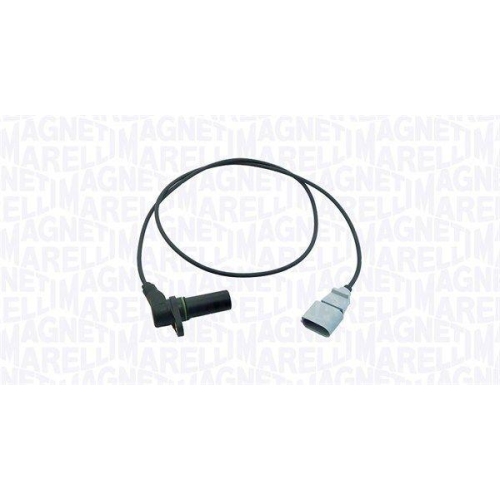 MAGNETI MARELLI Senzor impulsuri, arbore cotit