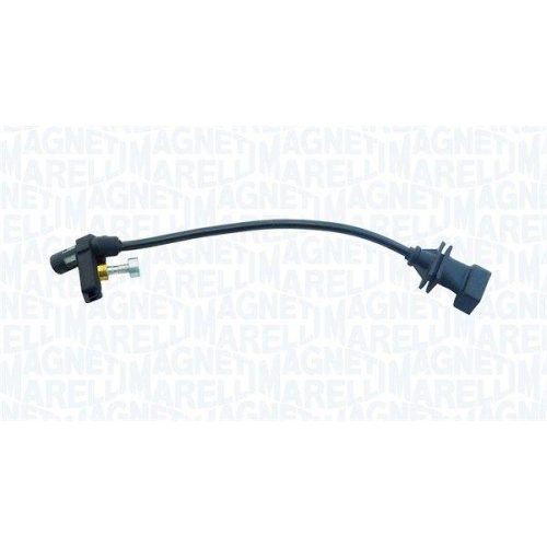 MAGNETI MARELLI Senzor impulsuri, arbore cotit