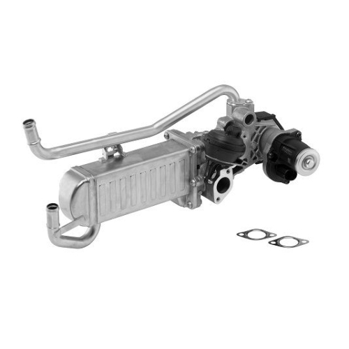 BorgWarner (Wahler) Modul-EGR OE-Version/Genuine