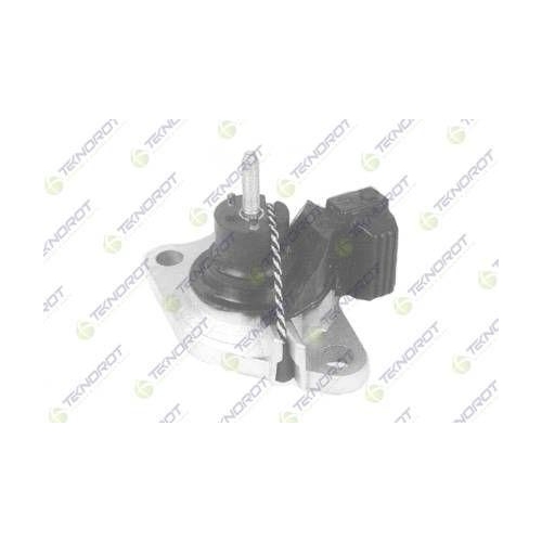 Suport motor Nissan Kubistar Box (X76); Renault Clio 2 (Bb , Clio 2 Box / Liftback (Sb0/1/2), Kangoo (Kc0/1), Kangoo Be Bop (Kw0/1), Kangoo Express (Fc0/1), Kangoo Express (Fw0/1), Thalia I (Lb), Thalia 2 (Lu), Twingo 2 (Cn0), Fata, Dreapta, 1.5 DCi, 1.5