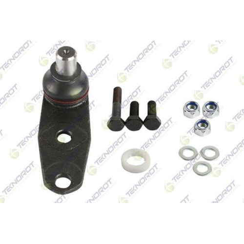 Pivot brat suspensie Renault Clio 2 (BB), Kangoo (KC0/1), Megane 1 (BA0/1), Megane Scenic (JA0/1), Thalia 1 (LB), Punte Fata, Stanga=Dreapta, TEKNOROT
