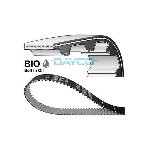 DAYCO Curea de distributie