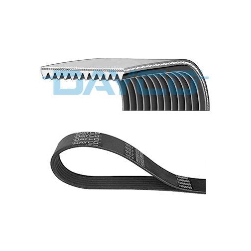 DAYCO Curea transmisie cu caneluri